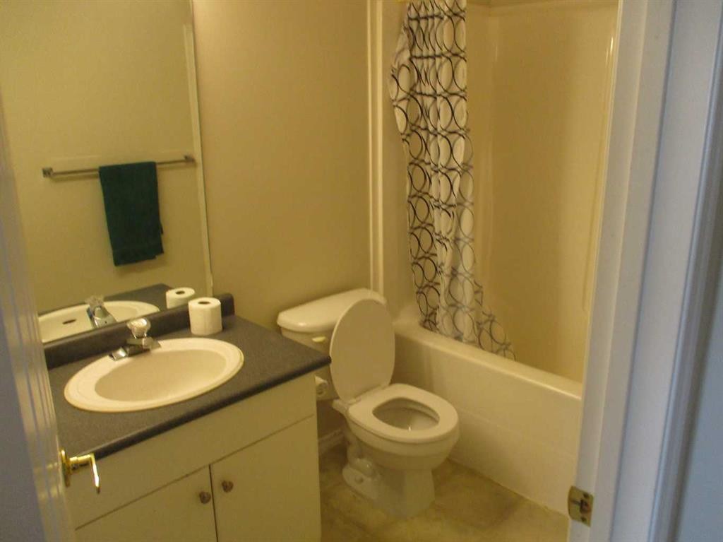804 2Nd Street Nw, Manning, AB - Indoor Photo Showing Bathroom