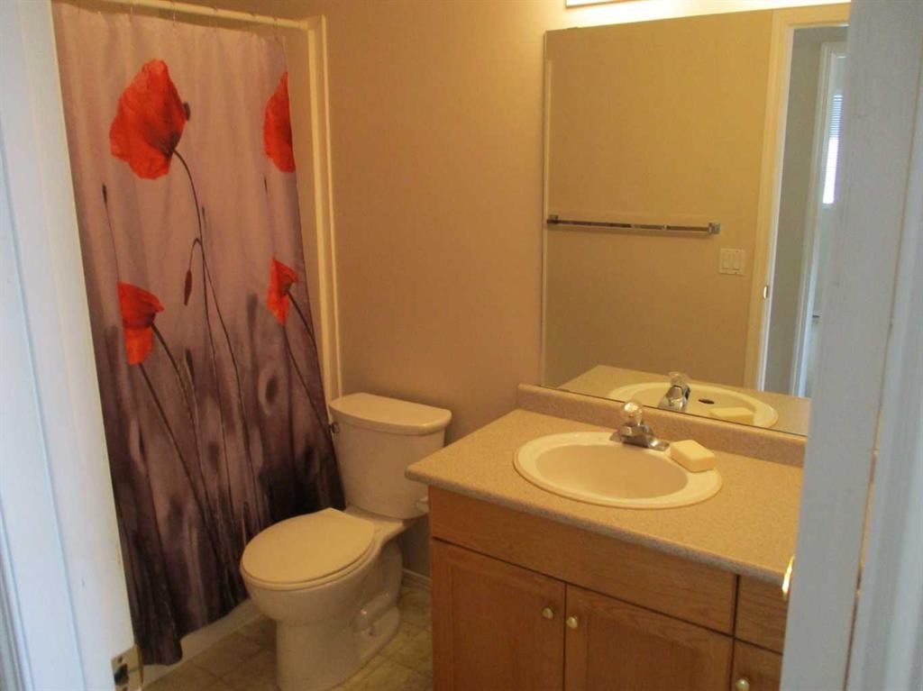 804 2Nd Street Nw, Manning, AB - Indoor Photo Showing Bathroom