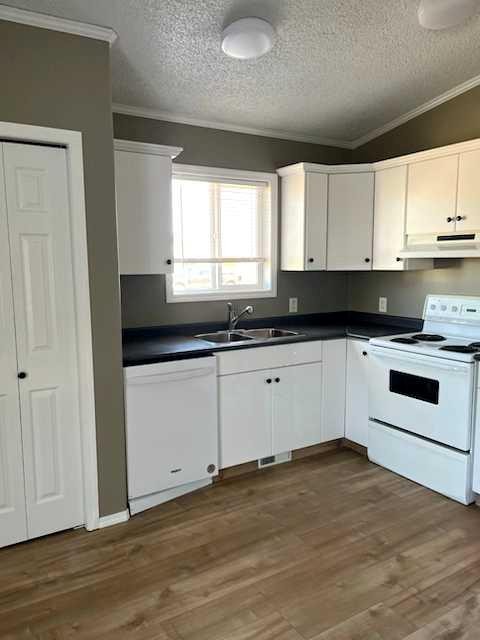 804 2Nd Street Nw, Manning, AB - Indoor Photo Showing Kitchen With Double Sink