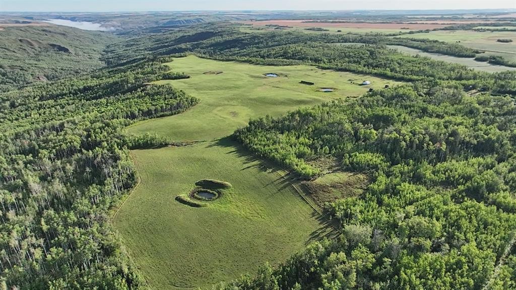 51002 Twp Rd 794, Rural Spirit River No. 133, M.D. Of, AB - Outdoor With View