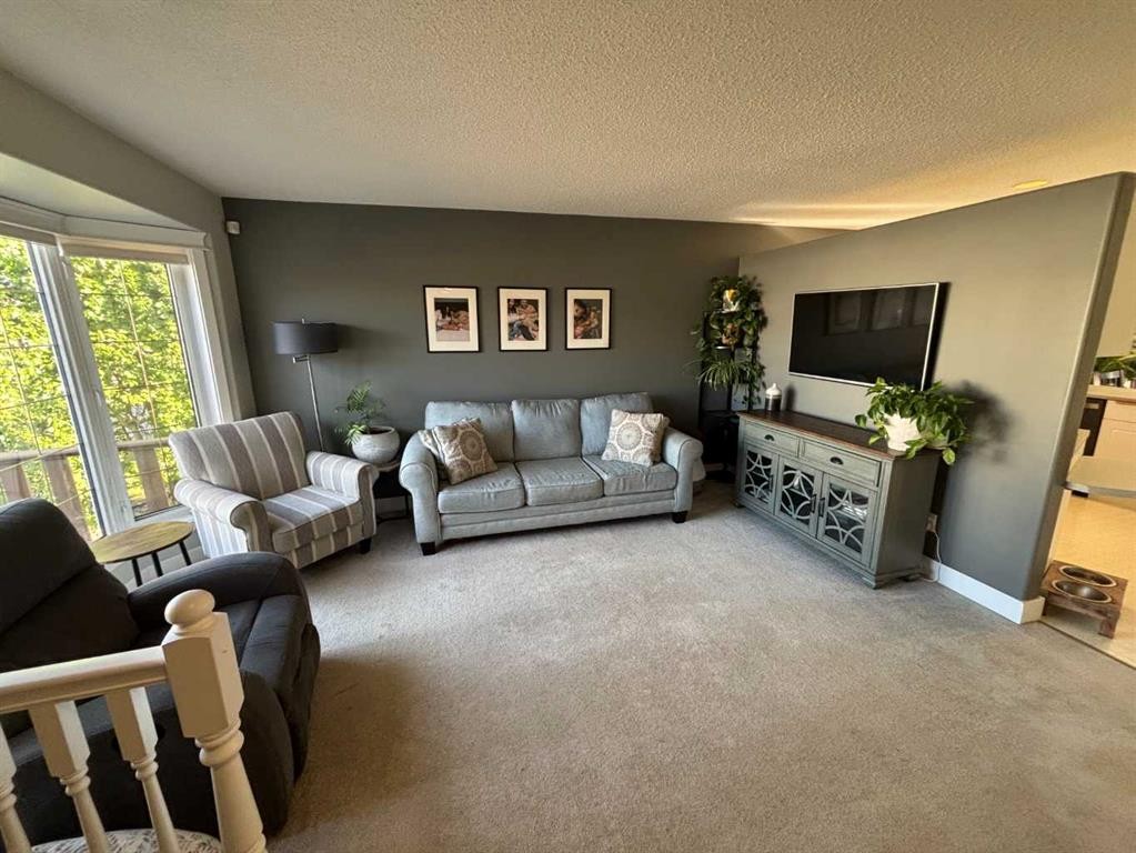 10413 83 Street, Peace River, AB - Indoor Photo Showing Living Room