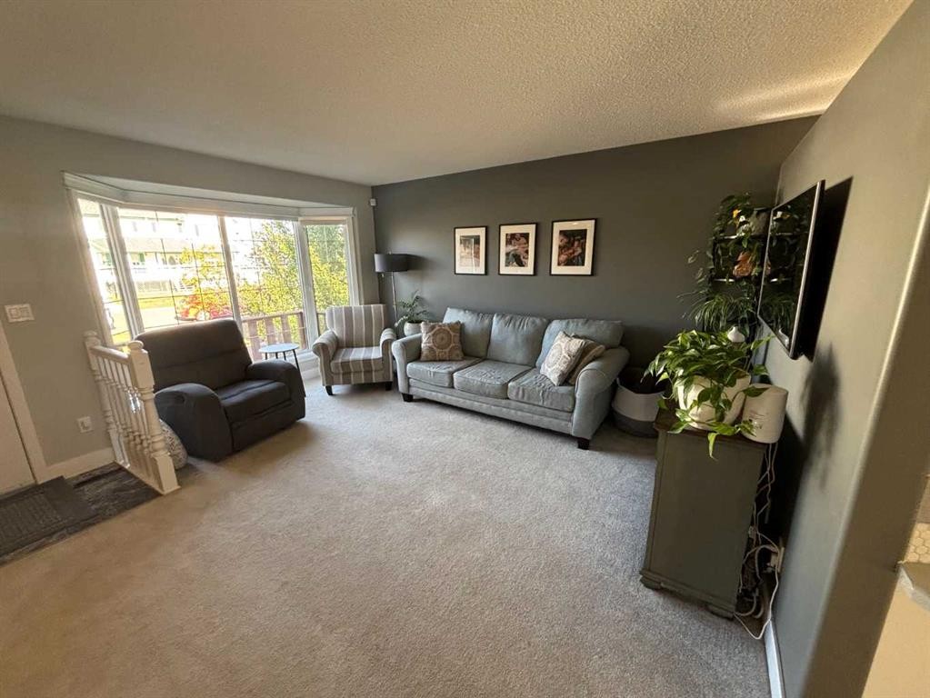 10413 83 Street, Peace River, AB - Indoor Photo Showing Living Room