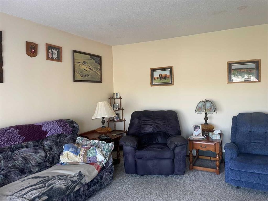 5511 50, Grimshaw, AB - Indoor Photo Showing Living Room