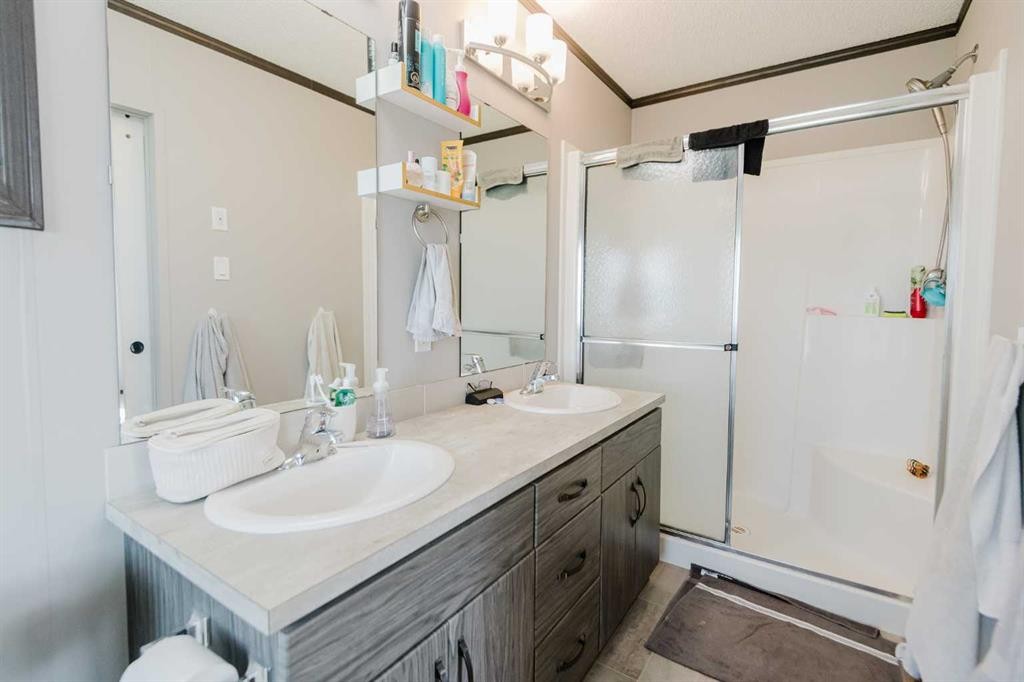 220 Riverdrive Lane, Rural Mackenzie County, AB - Indoor Photo Showing Bathroom