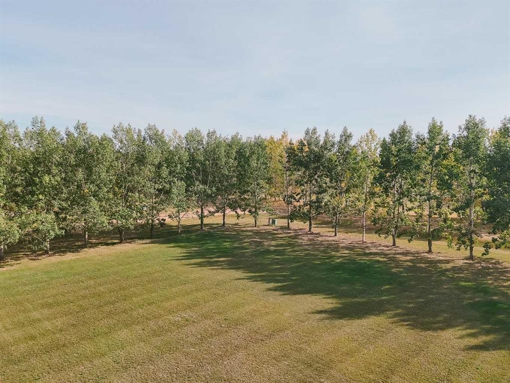 220 Riverdrive Lane, Rural Mackenzie County, AB - Outdoor With Body Of Water With View