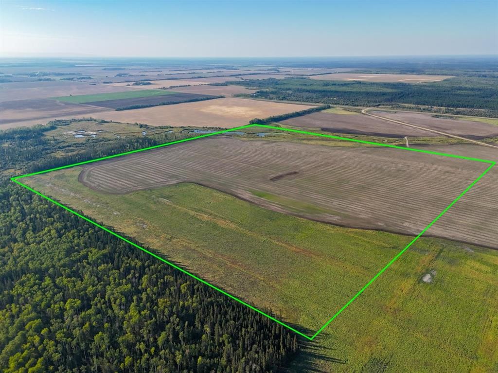 109528 Rge Rd 165, Rural Mackenzie County, AB - Outdoor With View