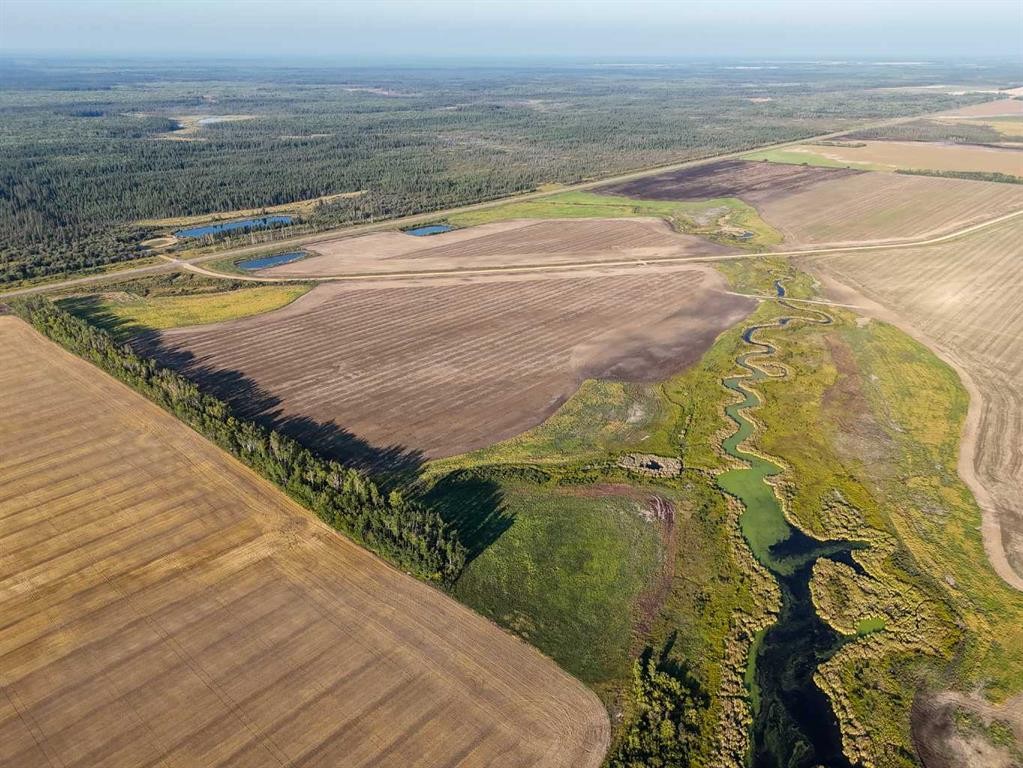 109528 Rge Rd 165, Rural Mackenzie County, AB - Outdoor With View