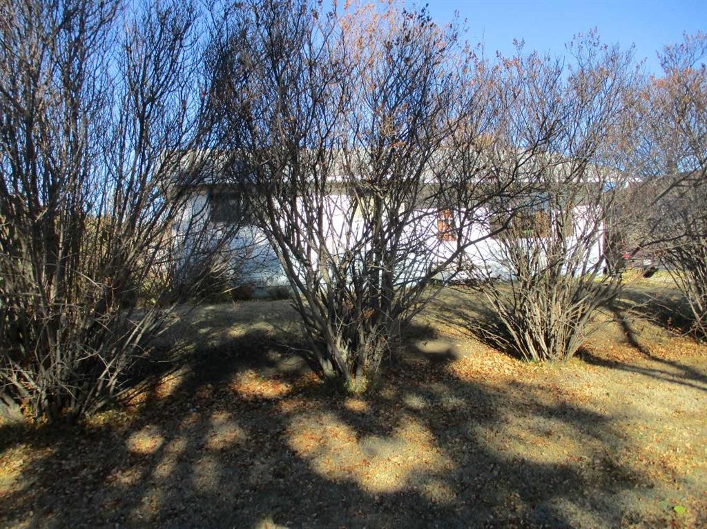 220 2Nd Avenue Sw, Manning, AB - Outdoor With View