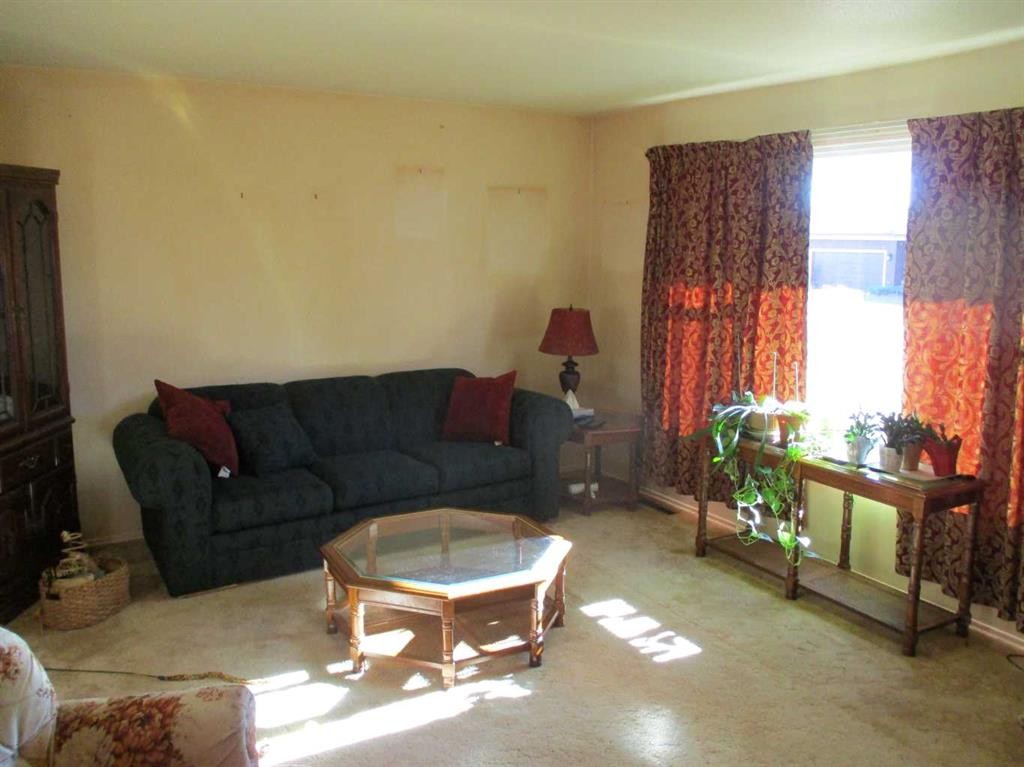 220 2Nd Avenue Sw, Manning, AB - Indoor Photo Showing Living Room