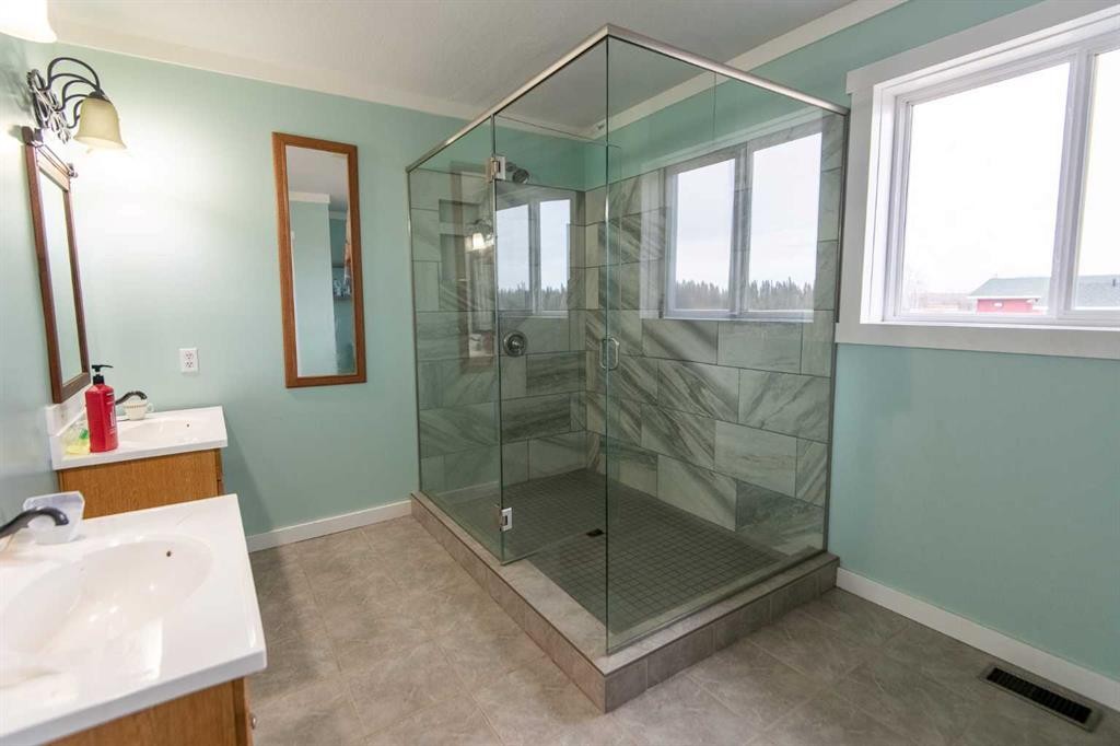 109419 Rge Rd 160, Rural Mackenzie County, AB - Indoor Photo Showing Bathroom