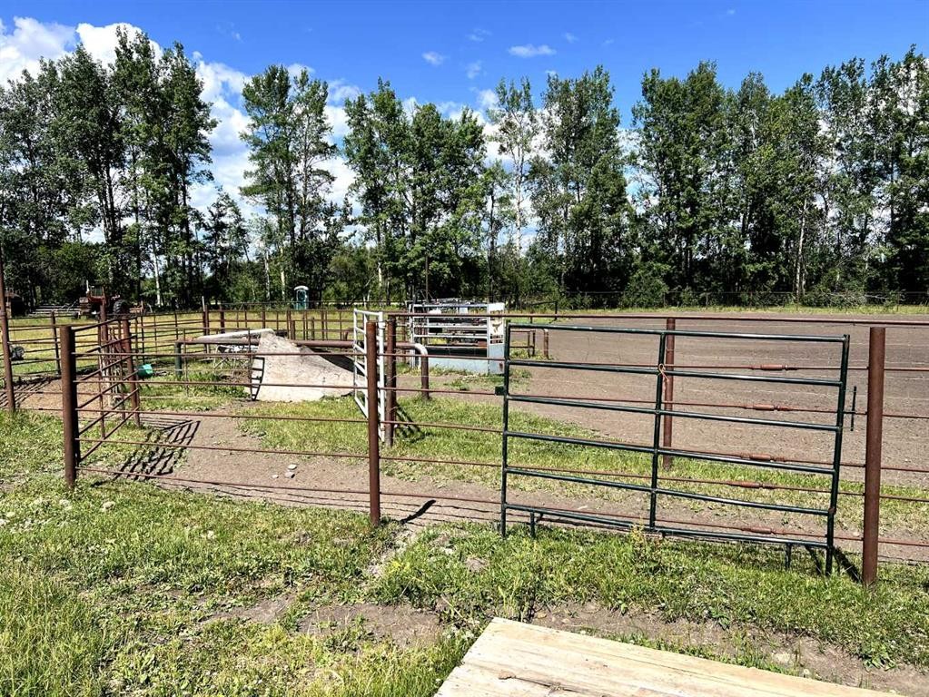 Rge Rd 194 Road, Rural Greenview No. 16, M.D. Of, AB - Outdoor
