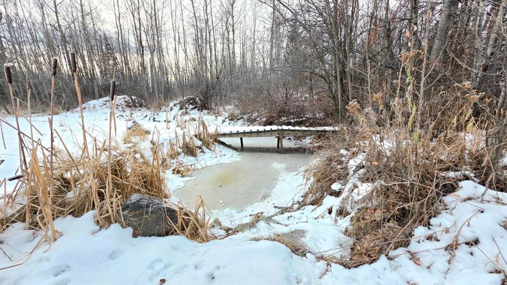 745055 Range Road 53 Unit #8, Rural Grande Prairie No. 1, County Of, AB - Outdoor With View