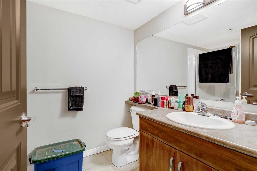 206-9120 96 Avenue, Grande Prairie, AB - Indoor Photo Showing Bathroom