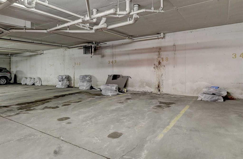 206-9120 96 Avenue, Grande Prairie, AB - Indoor Photo Showing Garage