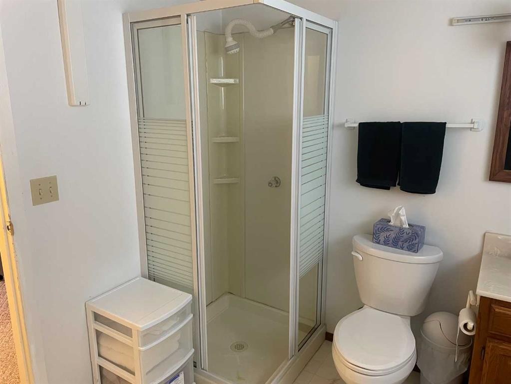 11500 105 Avenue, Fairview, AB - Indoor Photo Showing Bathroom