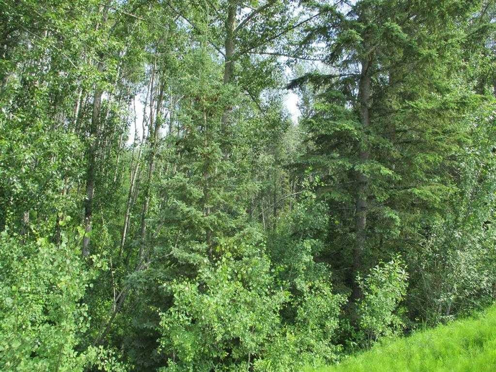 Nw-9-89-21-W5 Deadwood, Rural Northern Lights, County Of, AB