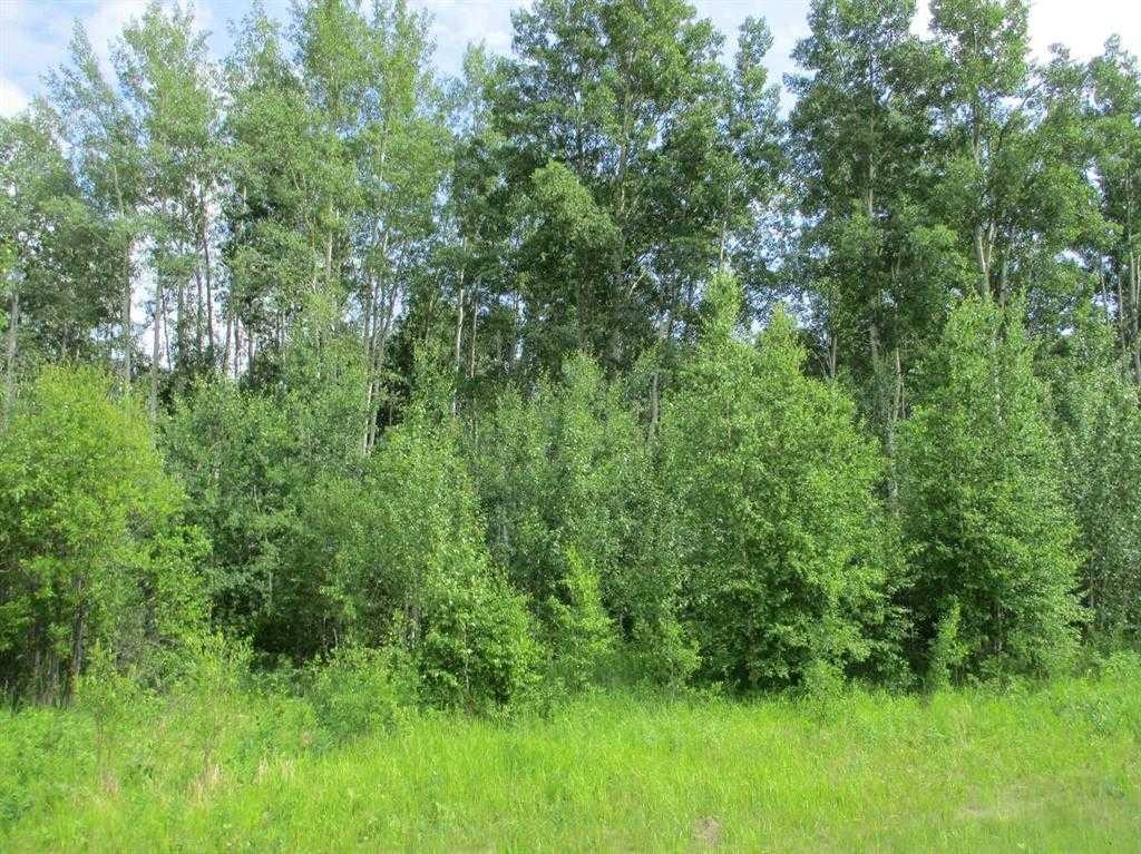 Nw-9-89-21-W5 Deadwood, Rural Northern Lights, County Of, AB