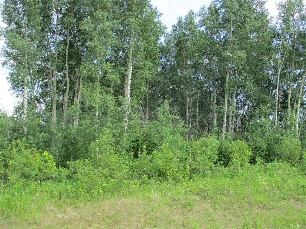 Nw-9-89-21-W5 Deadwood, Rural Northern Lights, County Of, AB