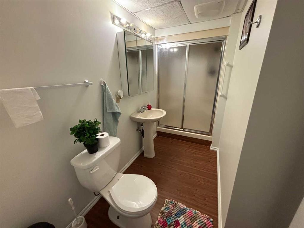 8310 95 Street, Peace River, AB - Indoor Photo Showing Bathroom