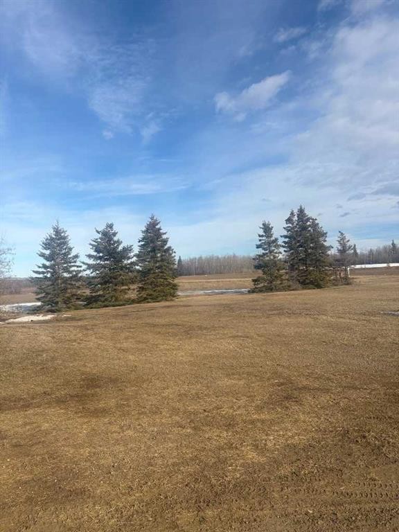 64050 Hwy 49, Rural Spirit River No. 133, M.D. Of, AB - Outdoor With View