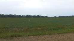 5709 53 Avenue, High Prairie, AB