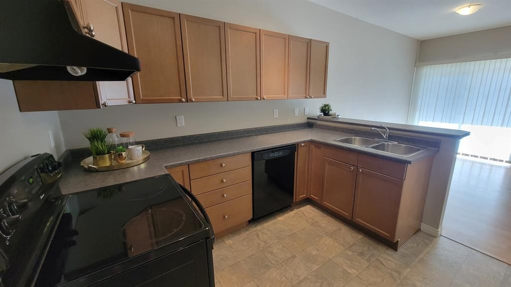 101C-8640 103 Avenue, Grande Prairie, AB - Indoor Photo Showing Kitchen With Double Sink