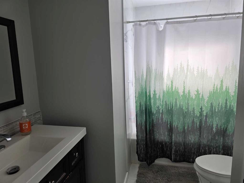 10853 99 Avenue, Grande Cache, AB - Indoor Photo Showing Bathroom