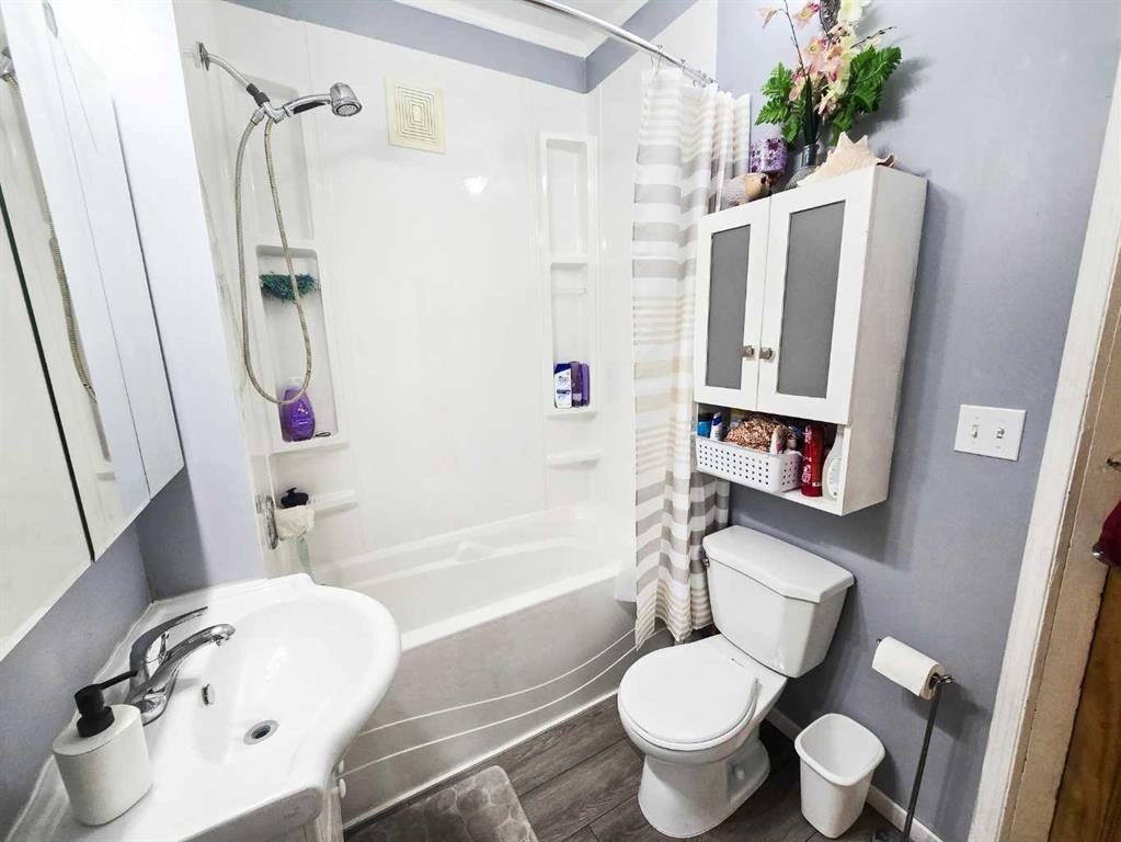 4704 47 Avenue, Spirit River, AB - Indoor Photo Showing Bathroom
