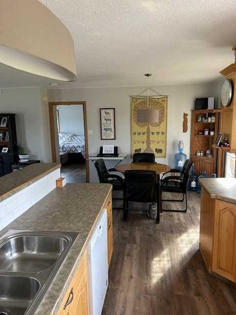 18142 Township Road 1102, Rural Mackenzie County, AB - Indoor Photo Showing Kitchen With Double Sink