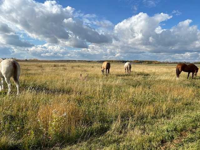 18142 Township Road 1102, Rural Mackenzie County, AB - Outdoor With View