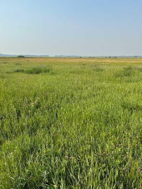 18142 Township Road 1102, Rural Mackenzie County, AB - Outdoor With View