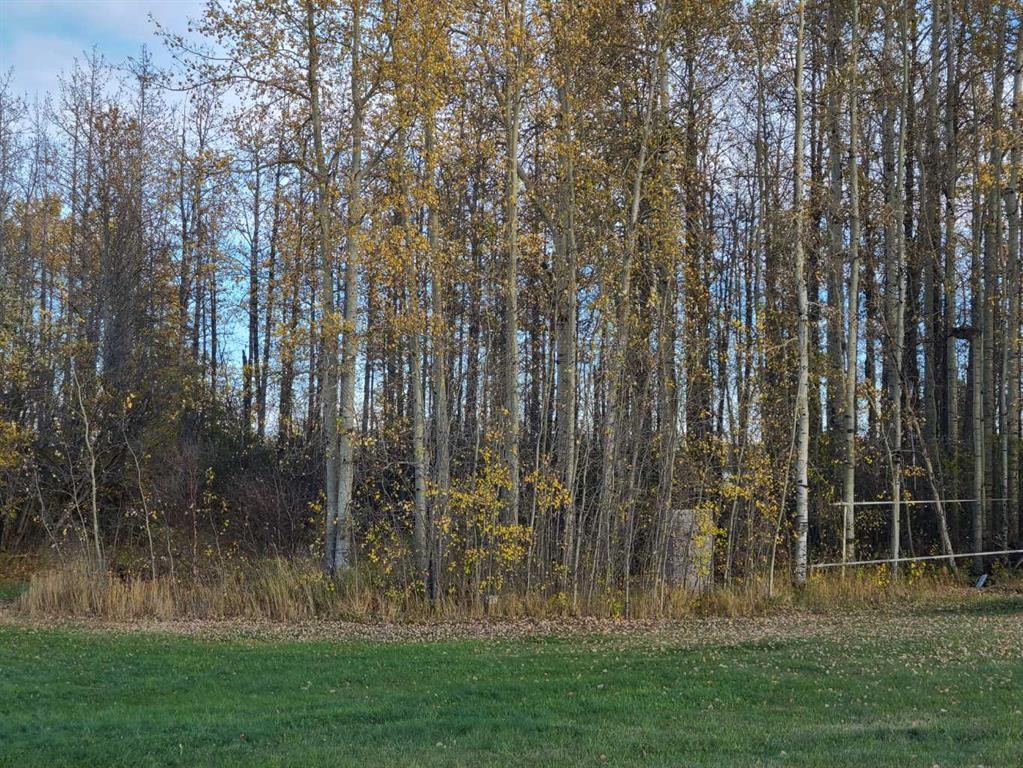 #13-70539 Rr 250, Rural Greenview No. 16, M.D. Of, AB