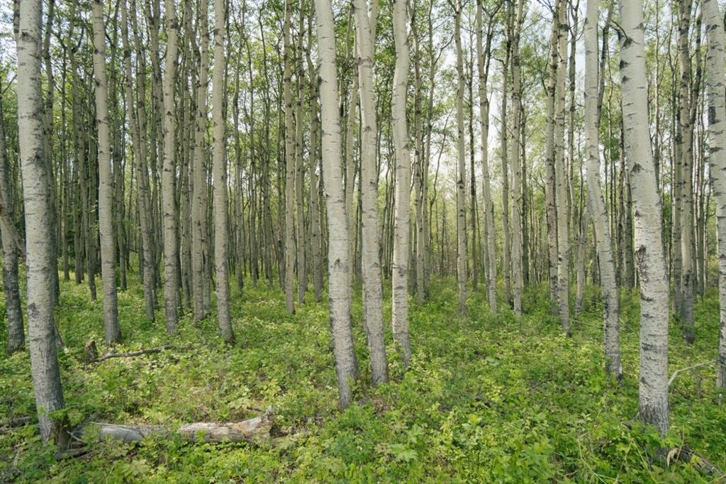 Lot 3-Range Road 84 Township Road 722, Wembley, AB