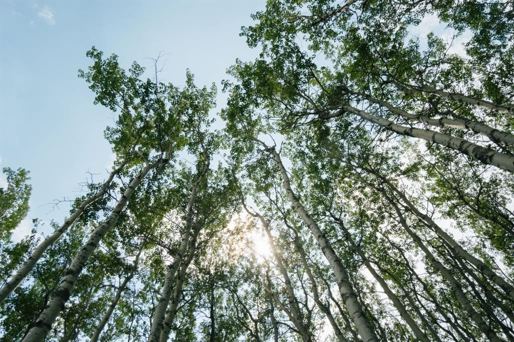 Lot 3-Range Road 84 Township Road 722, Wembley, AB