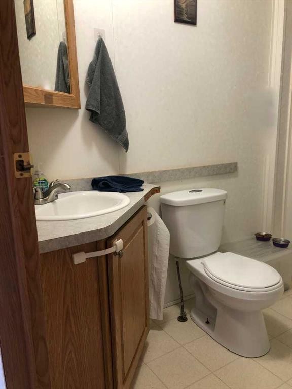 3 Dewberry Road, High Level, AB - Indoor Photo Showing Bathroom
