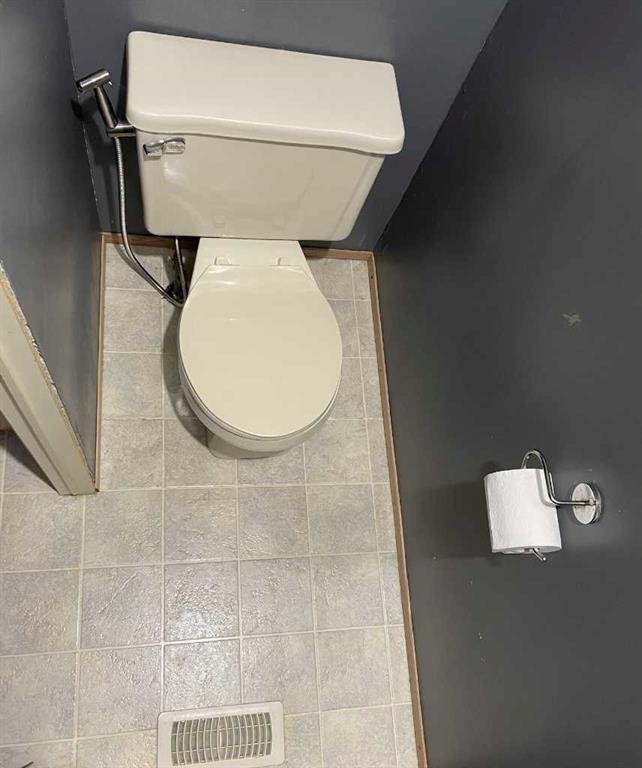 10508 98 Avenue, High Level, AB - Indoor Photo Showing Bathroom