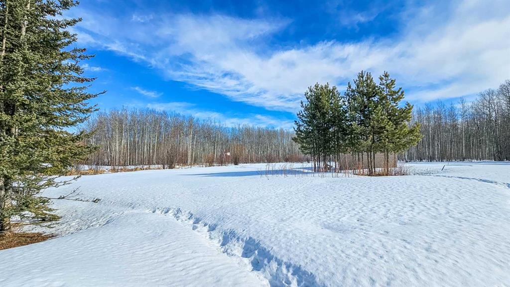 69565 Range Road 65, Grovedale, AB - Outdoor With View
