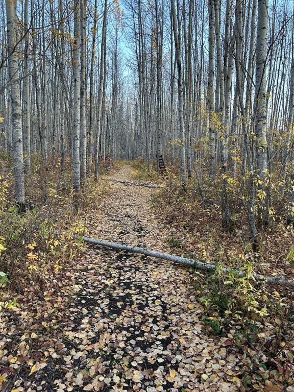 69565 Range Road 65, Grovedale, AB - Outdoor With View