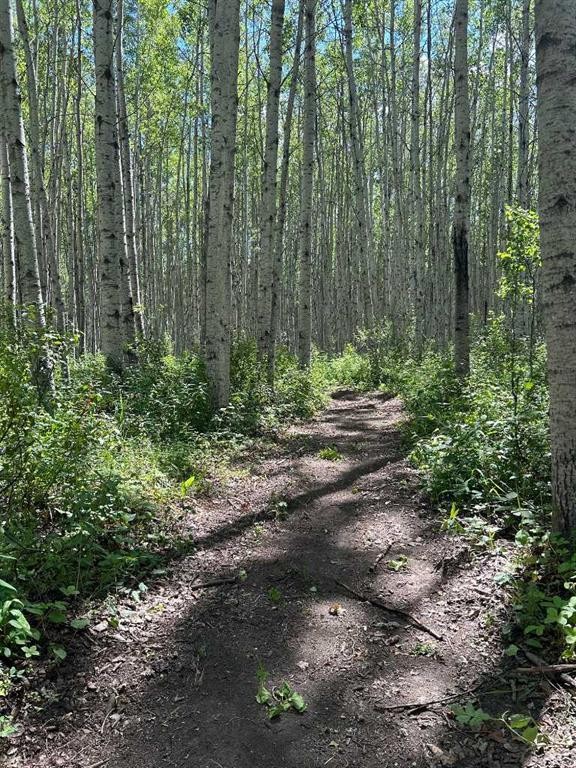 69565 Range Road 65, Grovedale, AB - Outdoor With View