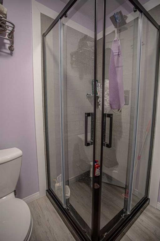 3 Boyer Close, High Level, AB - Indoor Photo Showing Bathroom