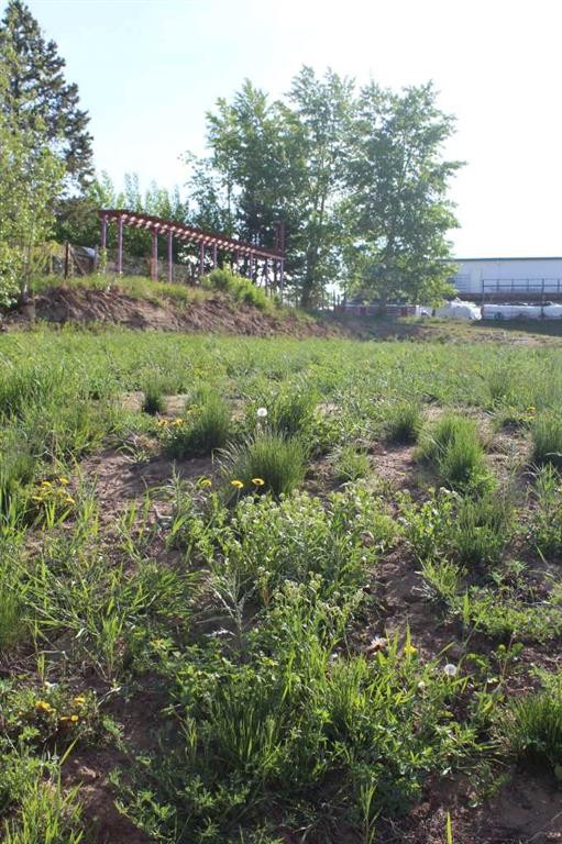 202 4Th Avenue, Manning, AB