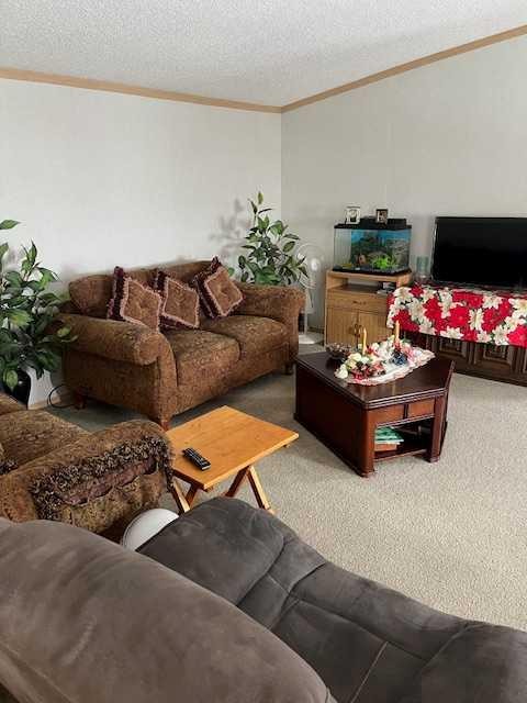 303 4Th Avenue Sw, Manning, AB - Indoor Photo Showing Living Room
