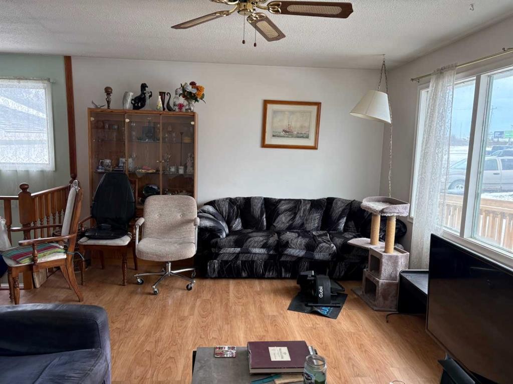 5003 42 Avenue, Valleyview, AB - Indoor Photo Showing Living Room