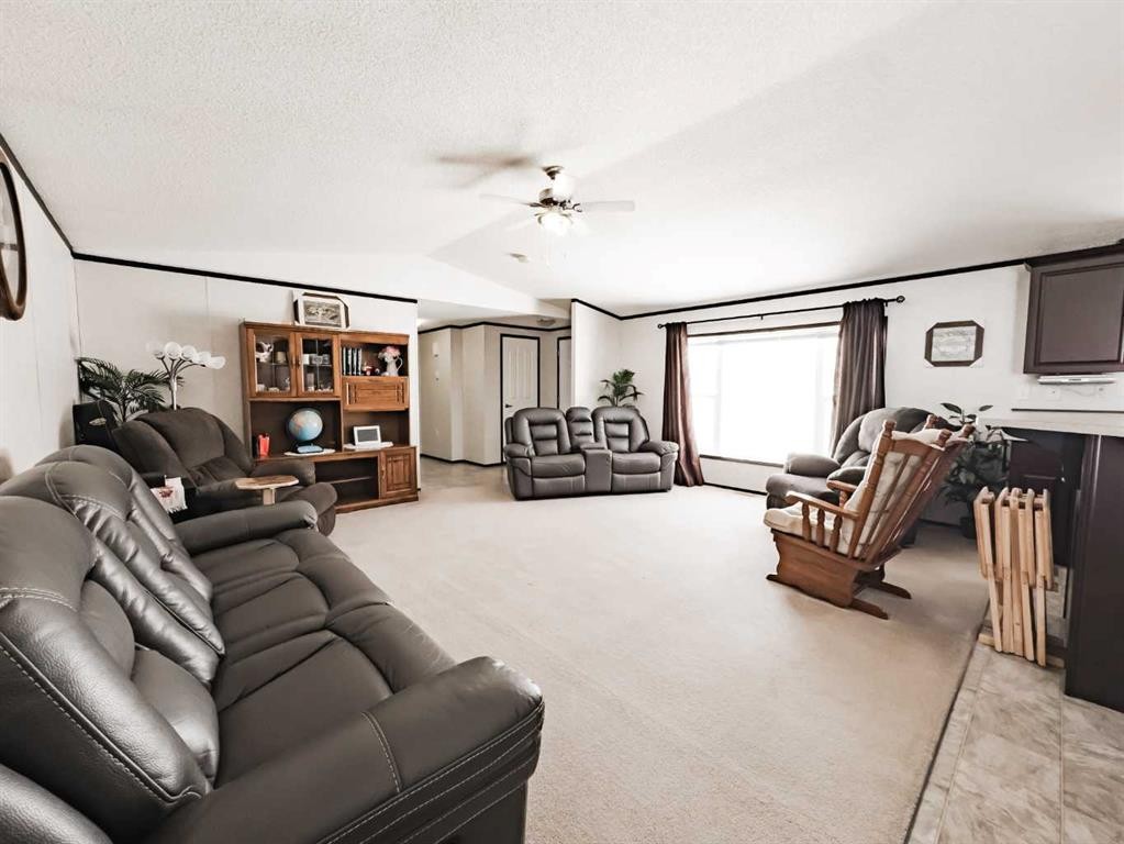 893029 Range Rd 232, Manning, AB - Indoor