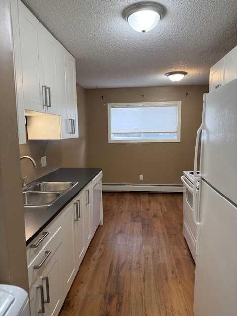 101-11114 Hoppe, Grande Cache, AB - Indoor Photo Showing Kitchen With Double Sink
