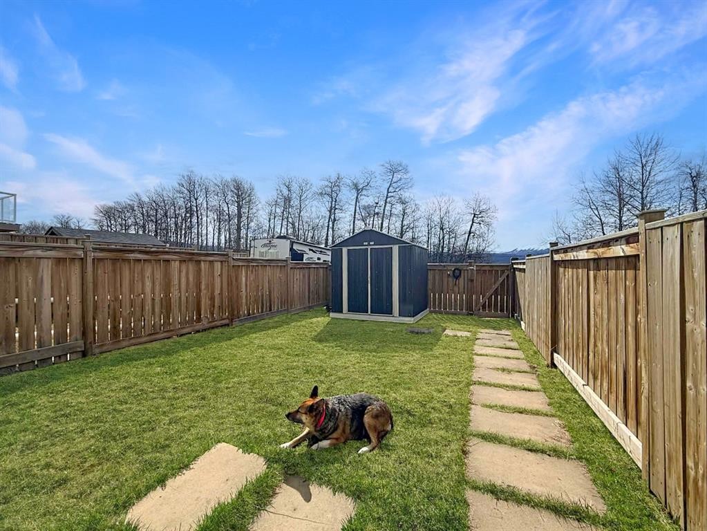 49 97Th Avenue, Grande Cache, AB - Outdoor With Backyard