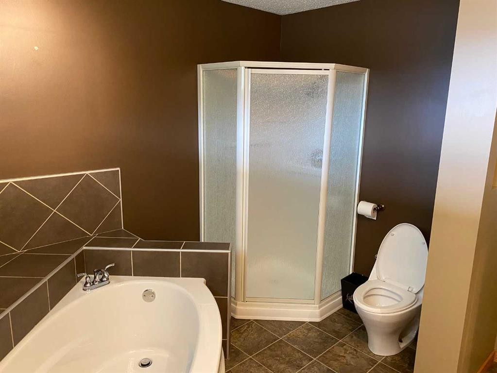 60037 Twp Rd 725, Clairmont, AB - Indoor Photo Showing Bathroom
