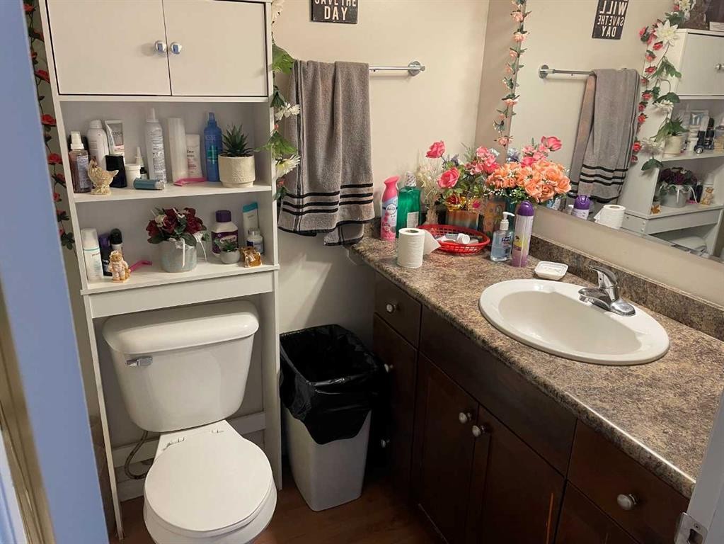 10703 108 Avenue, Fairview, AB - Indoor Photo Showing Bathroom