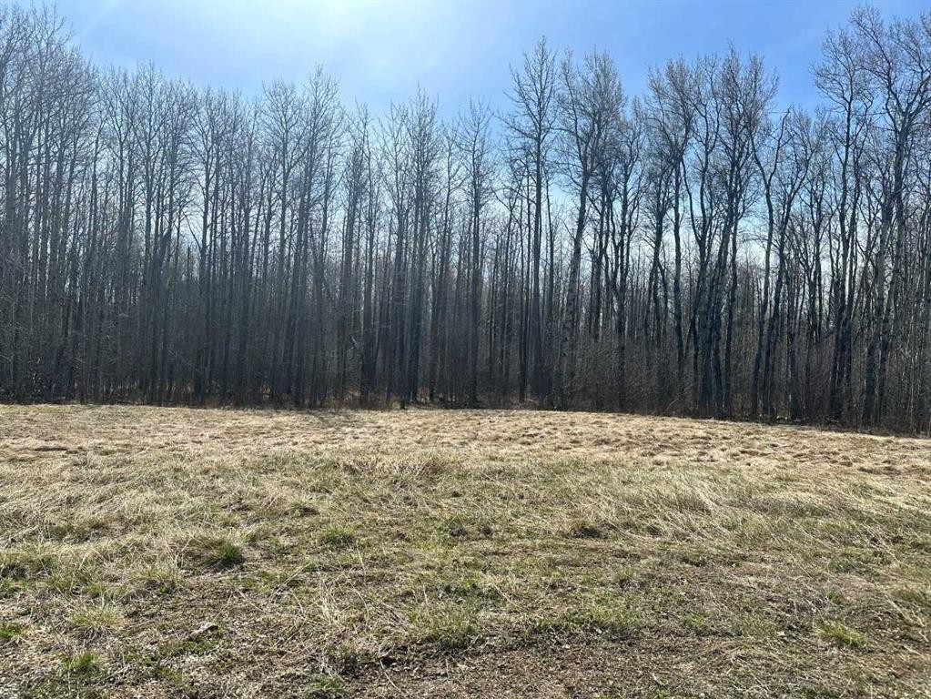 90058B Twp 720, Wembley, AB