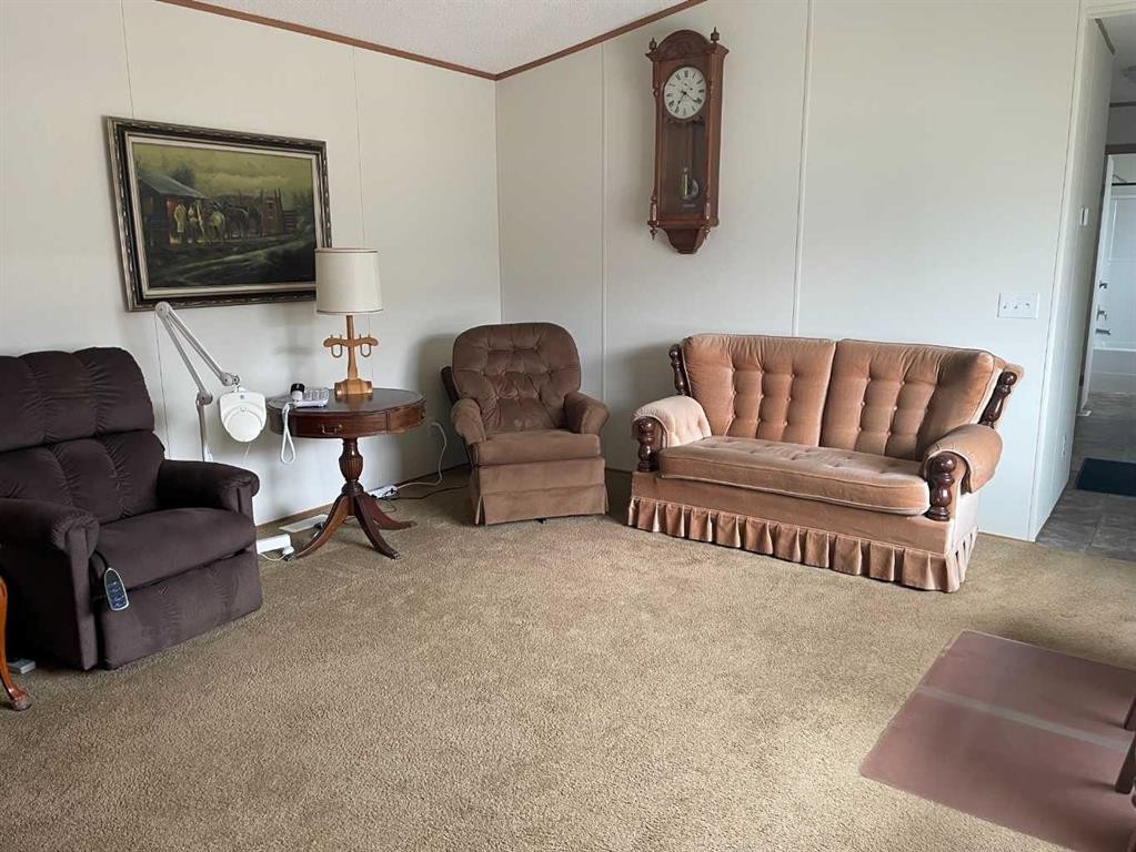 10305 101 Street, Fairview, AB - Indoor Photo Showing Living Room